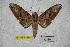  ( - BC-RBP-1884)  @13 [ ] Copyright (2010) Unspecified Research Collection of Ron Brechlin