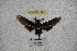 ( - BC-RBP-1891)  @12 [ ] Copyright (2010) Unspecified Research Collection of Ron Brechlin