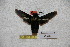  ( - BC-RBP-1918)  @13 [ ] Copyright (2010) Unspecified Research Collection of Ron Brechlin