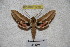  ( - BC-RBP-2279)  @13 [ ] Copyright (2010) Unspecified Research Collection of Ron Brechlin