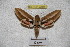  ( - BC-RBP-2280)  @13 [ ] Copyright (2010) Unspecified Research Collection of Ron Brechlin