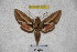  ( - BC-RBP-2281)  @13 [ ] Copyright (2010) Unspecified Research Collection of Ron Brechlin