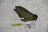  ( - BC-RBP-2338)  @12 [ ] Copyright (2010) Unspecified Research Collection of Ron Brechlin