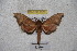  ( - BC-RBP-2371)  @12 [ ] Copyright (2010) Unspecified Research Collection of Ron Brechlin