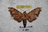  ( - BC-RBP-2380)  @11 [ ] Copyright (2010) Unspecified Research Collection of Ron Brechlin