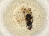  ( - BIOUG50496-C09)  @11 [ ] CreativeCommons - Attribution (2022) Centre for Biodiversity Genomics Centre for Biodiversity Genomics
