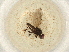  ( - BIOUG50496-C10)  @11 [ ] CreativeCommons - Attribution (2022) Centre for Biodiversity Genomics Centre for Biodiversity Genomics