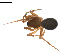  ( - BIOUG02783-A10)  @12 [ ] Copyright  G. Blagoev 2012 Unspecified