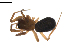  ( - BIOUG02783-A11)  @12 [ ] Copyright  G. Blagoev 2012 Unspecified