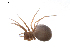  ( - BIOUG01973-F06)  @12 [ ] Copyright  G. Blagoev 2012 Unspecified