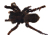  ( - BIOUG01974-B05)  @12 [ ] Copyright  G. Blagoev 2012 Unspecified