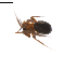  ( - BIOUG01974-F08)  @13 [ ] Copyright  G. Blagoev 2012 Unspecified