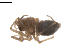  ( - BIOUG01974-G05)  @13 [ ] Copyright  G. Blagoev 2012 Unspecified