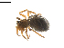  ( - BIOUG01974-H07)  @12 [ ] Copyright  G. Blagoev 2012 Unspecified