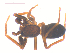  ( - 10-SKBC-0191)  @11 [ ] CreativeCommons - Attribution (2010) Unspecified Centre for Biodiversity Genomics