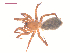  ( - 10-SKBC-0319)  @13 [ ] CreativeCommons - Attribution (2010) Unspecified Centre for Biodiversity Genomics