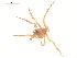  ( - 10-SKBC-0041)  @12 [ ] CreativeCommons - Attribution (2010) Unspecified Centre for Biodiversity Genomics