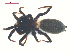  ( - 10-SKBC-0639)  @12 [ ] CreativeCommons - Attribution (2010) Unspecified Centre for Biodiversity Genomics