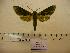  ( - BC-Mel 0248)  @13 [ ] Copyright (2010) Unspecified Research Collection of Tomas Melichar