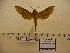  ( - BC-Mel 0280)  @13 [ ] Copyright (2010) Unspecified Research Collection of Tomas Melichar