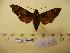  ( - BC-Mel 0419)  @13 [ ] Copyright (2010) Unspecified Research Collection of Tomas Melichar