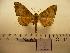  ( - BC-Mel 0441)  @13 [ ] Copyright (2010) Unspecified Research Collection of Tomas Melichar