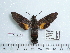  ( - BC-Mel 0574)  @13 [ ] Copyright (2010) Unspecified Research Collection of Tomas Melichar