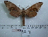  ( - BC-Mel 0589)  @13 [ ] Copyright (2010) Unspecified Research Collection of Tomas Melichar