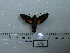  ( - BC-Mel 0642)  @12 [ ] Copyright (2010) Unspecified Research Collection of Tomas Melichar
