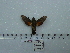 ( - BC-Mel 0658)  @13 [ ] Copyright (2010) Unspecified Research Collection of Tomas Melichar