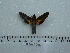  ( - BC-Mel 0669)  @12 [ ] Copyright (2010) Unspecified Research Collection of Tomas Melichar