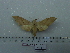  ( - BC-Mel 0713)  @12 [ ] Copyright (2010) Unspecified Research Collection of Tomas Melichar