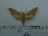  ( - BC-Mel 0715)  @12 [ ] Copyright (2010) Unspecified Research Collection of Tomas Melichar