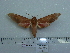  ( - BC-Mel 0734)  @12 [ ] Copyright (2010) Unspecified Research Collection of Tomas Melichar