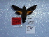  ( - BC-Mel 0900)  @12 [ ] Copyright (2010) Unspecified Research Collection of Tomas Melichar
