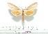  ( - BC-Mel 0187)  @14 [ ] Copyright (2010) Unspecified Research Collection of Tomas Melichar