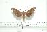  ( - BC-Mel 0190)  @13 [ ] Copyright (2010) Unspecified Research Collection of Tomas Melichar