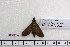  ( - BC-Mel 1106)  @12 [ ] Copyright (2010) Unspecified Research Collection of Tomas Melichar