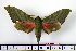  ( - BC-Mel1225)  @11 [ ] Copyright (2010) Unspecified Research Collection of Tomas Melichar