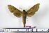  ( - BC-Mel1232)  @13 [ ] Copyright (2010) Unspecified Research Collection of Tomas Melichar
