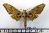  ( - BC-Mel1275)  @14 [ ] Copyright (2010) Unspecified Research Collection of Tomas Melichar