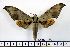  ( - BC-Mel1290)  @11 [ ] Copyright (2010) Unspecified Research Collection of Tomas Melichar