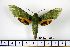  ( - BC-Mel1346)  @13 [ ] Copyright (2010) Unspecified Research Collection of Tomas Melichar