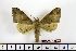  ( - BC-Mel1450)  @13 [ ] Copyright (2010) Unspecified Research Collection of Tomas Melichar