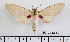  ( - BC-Mel2336)  @13 [ ] Copyright (2010) Tomas Melichar Research Collection of Tomas Mleichar