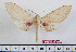  ( - BC-Mel2337)  @14 [ ] Copyright (2010) Tomas Melichar Research Collection of Tomas Mleichar