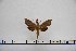  ( - BC-Mel3000)  @12 [ ] Copyright (2013) Tomas Melichar Research Collection of Tomas Mleichar
