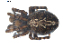 ( - BIOUG00627-A09)  @14 [ ] CC-0  G. Blagoev 2010 Unspecified