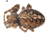  ( - BIOUG00627-A10)  @13 [ ] CC-0  G. Blagoev 2010 Unspecified