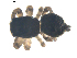  ( - BIOUG00627-E08)  @12 [ ] CC-0  G. Blagoev 2010 Unspecified